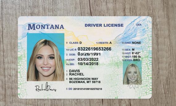 Purchase Montana Fake ID online