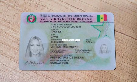 Editable Nnvada Fake Drivers License - Buy Scannable Fake Id Online - Fake  ID Website