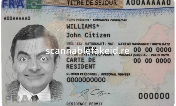 Fake France Residence Permit Card - Buy Scannable Fake Id Online - Fake ...