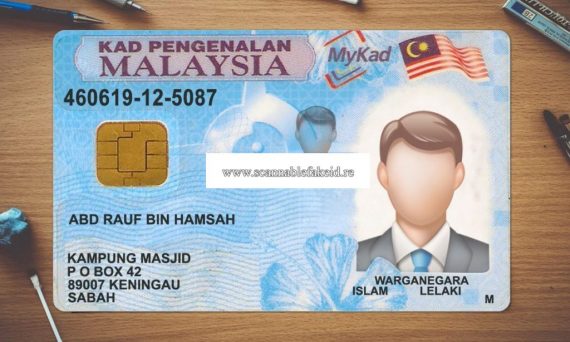 Malaysia Fake Id Card - Buy Scannable Fake ID Online - Fake Drivers License