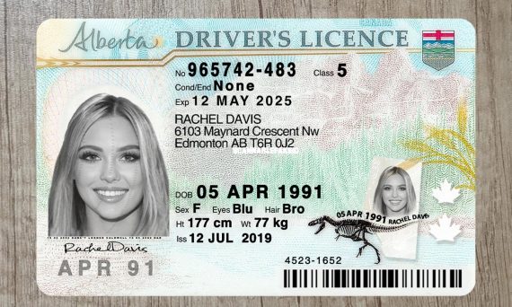 Canada Alberta Fake Driver License Buy Scannable Fake ID Online   Canada Alberta Driver License Template 4 Cp 570x342 