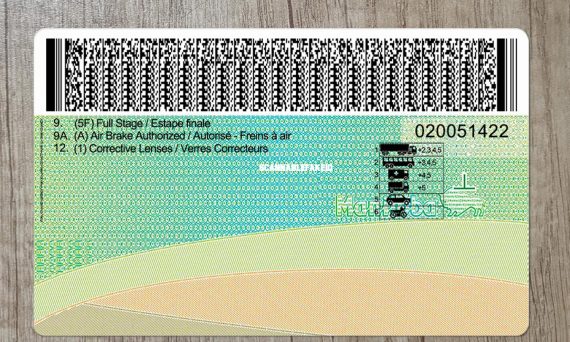 Canada Manitoba Fake Driver License Buy Scannable Fake ID Online   Canada Manitoba Driver License Template 5 Cp 570x342 