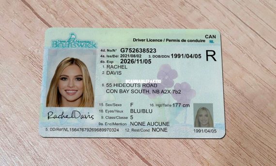 Canada New Brunswick Fake Driver License - Buy Scannable Fake ID Online ...