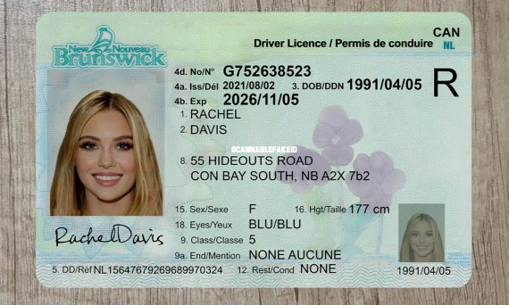 Canada New Brunswick Fake Driver License Buy Scannable Fake ID Online   Canada New Brunswick Driver License Template 3 Cp 570x342 