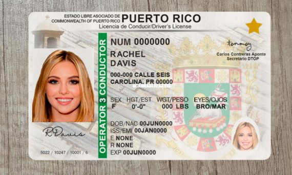 Why Puerto Rico Is Adding 'USA' to Its Driver's Licenses - The New