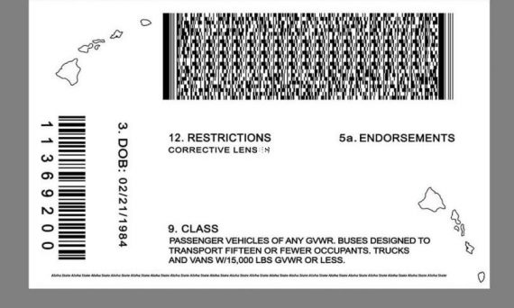 Fake Hawaii Id Scannable - Buy Scannable Fake Id Online - Fake ID Website