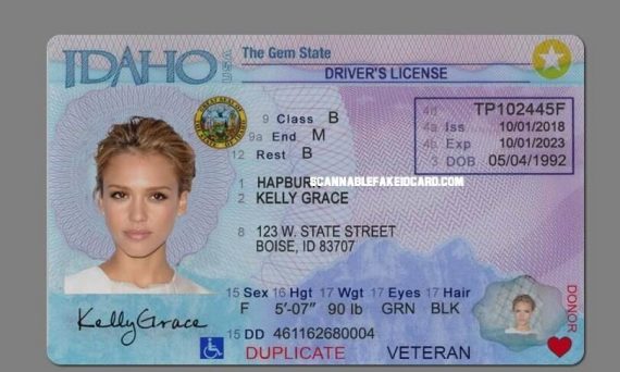 Fake Idaho Id Scannable - Buy Scannable Fake ID Online - Fake Drivers ...