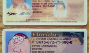 arizona fake id reddit