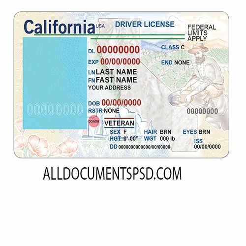 Arizona Fake Id Templates