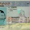 arizona fake id