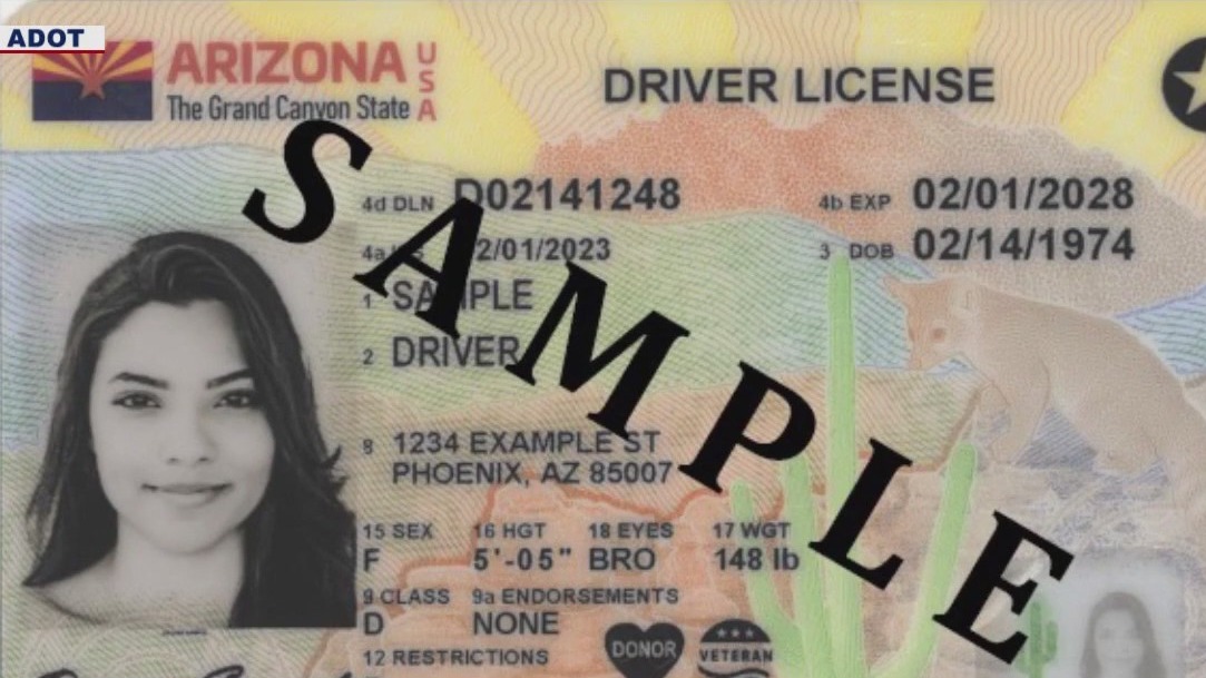 Arizona fake id