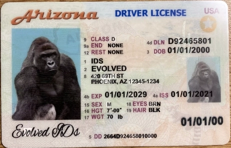 Arizona fake id