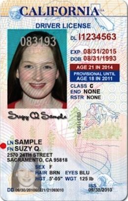 back of a fake id