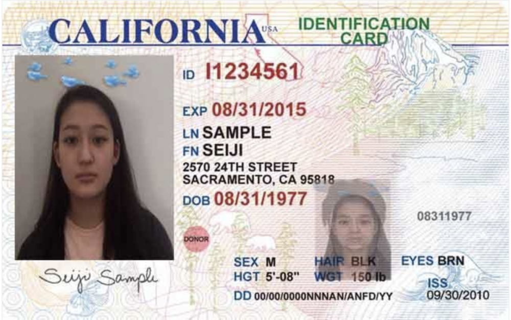 best fake id reddit