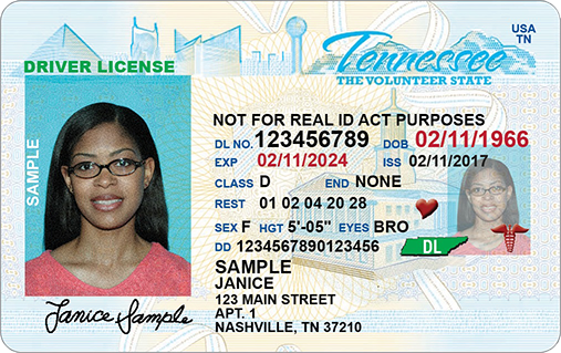 best fake id state