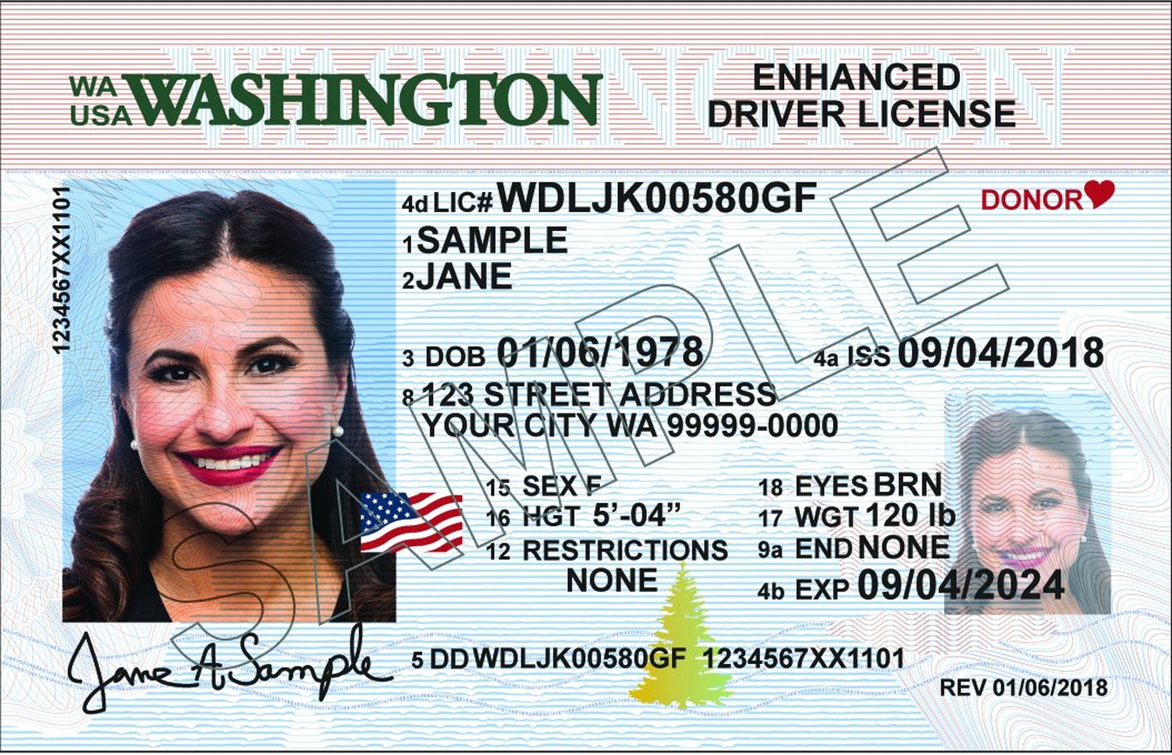 best fake id state