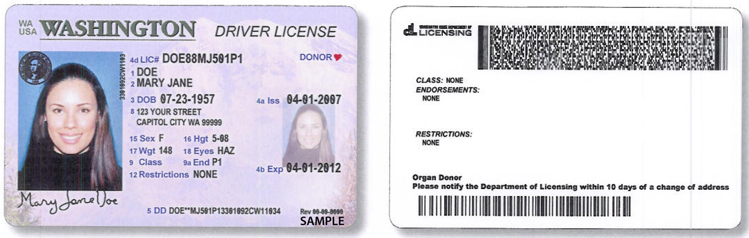 best fake ids to get states