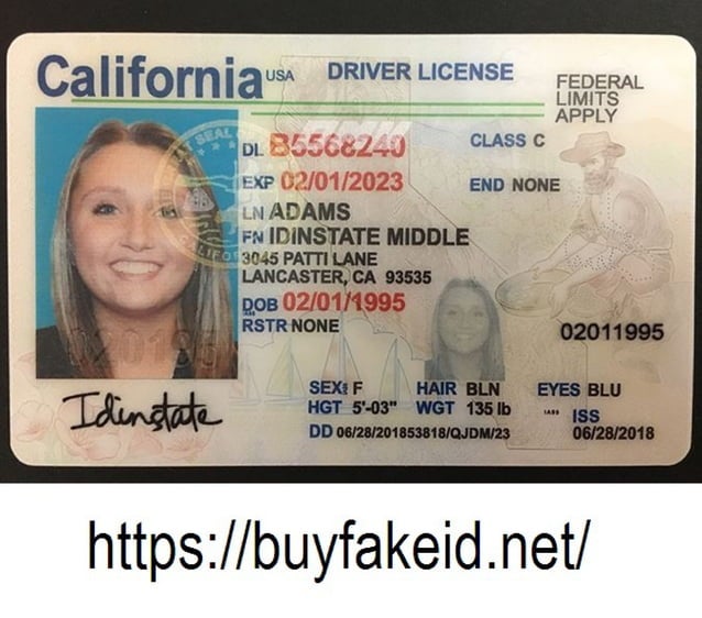 Best Fake Ids