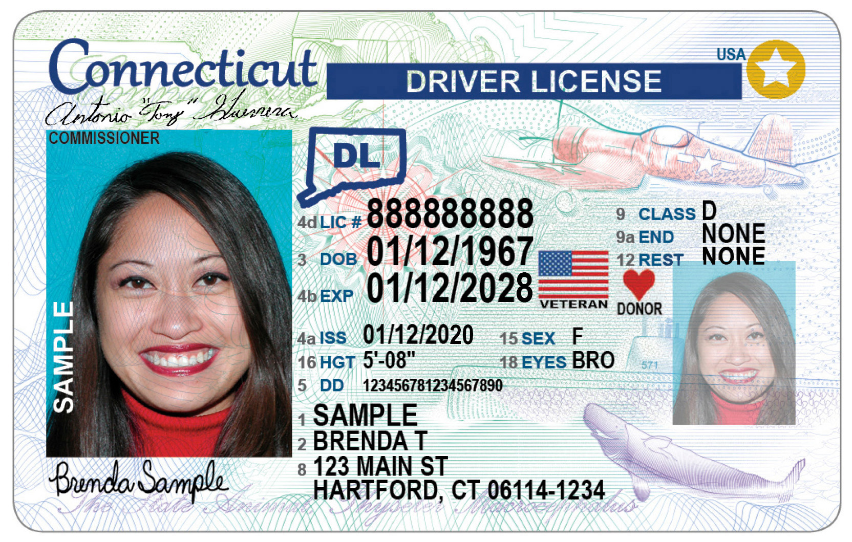 Best Maine Fake Id