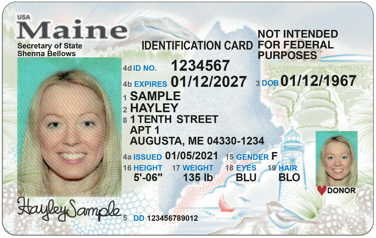 Best Maine Fake Id