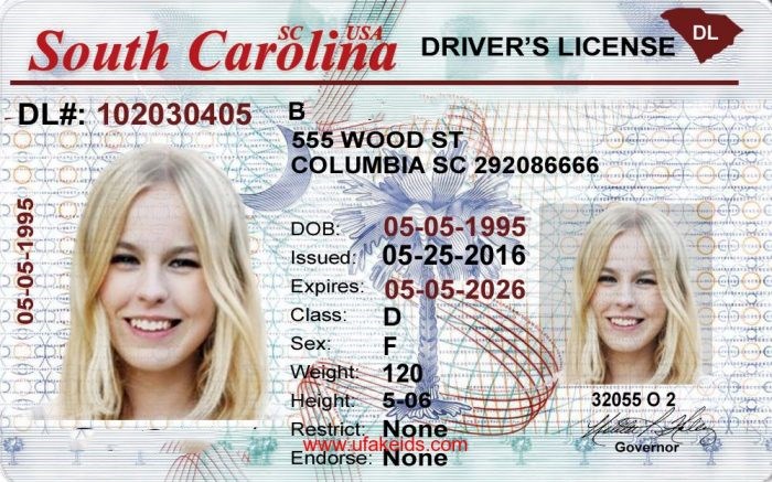 Best South Carolina Scannable Fake Id