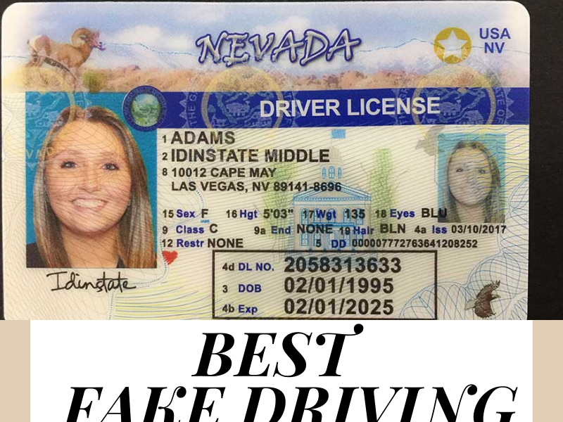 best websites to get a fake id