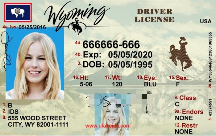 Best Wyoming Scannable Fake Id