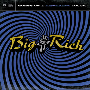 big and rich fake id lyrics