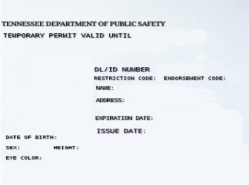 blank texas fake paper id template download