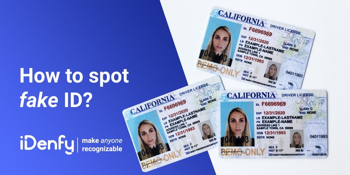 bogus fake id