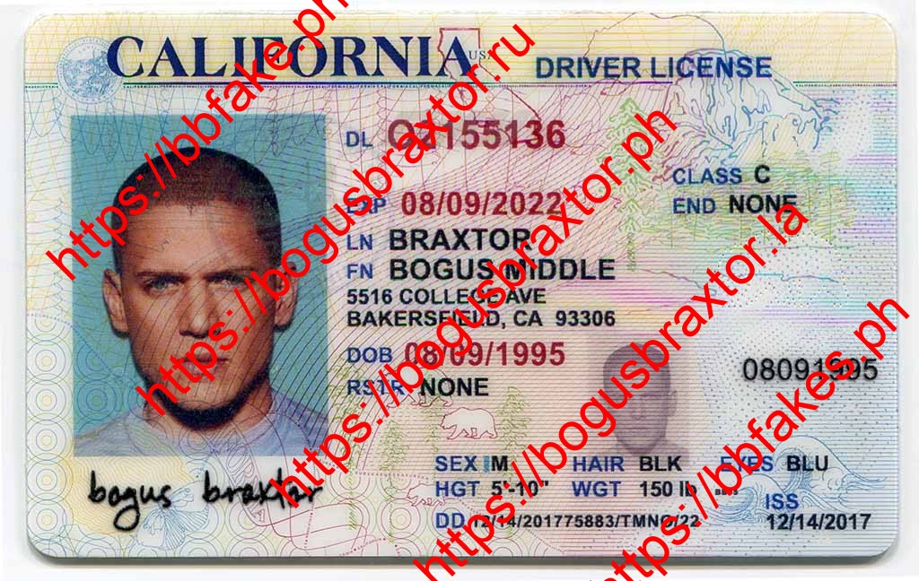 bogus fake id