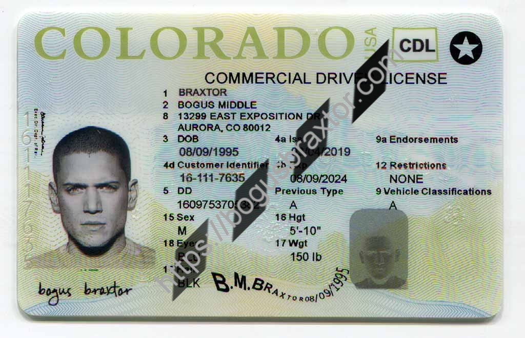 Buy Colorado Fake Id