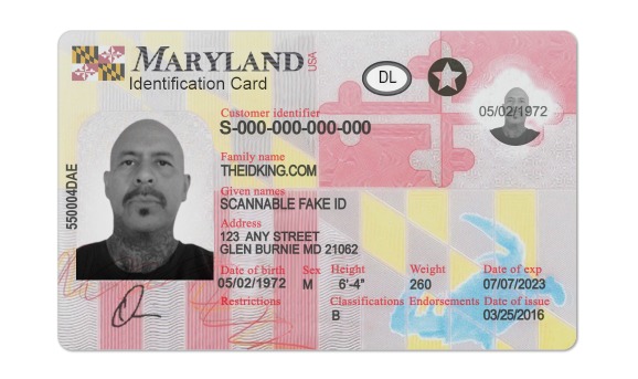 Buy Maryland Scannable Fake Id