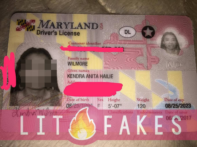 Buy Maryland Scannable Fake Id
