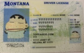 Buy Missouri Scannable Fake Id