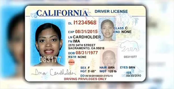 California Fake Id Maker