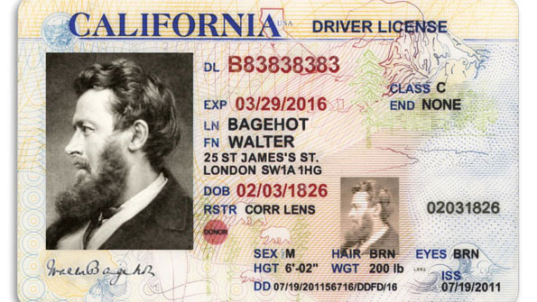 California Fake Id Maker