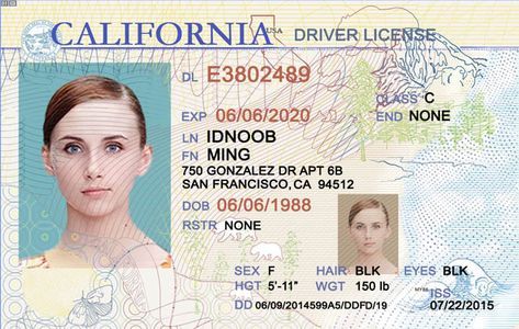 California Scannable fake id