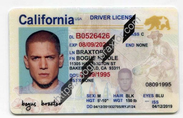 California Scannable fake id