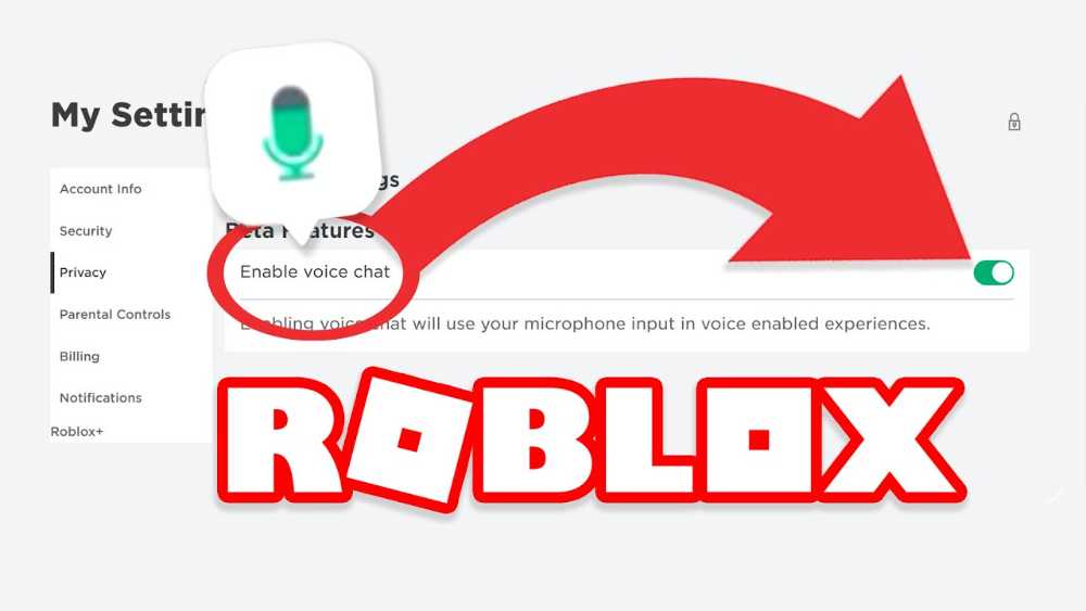 can you use a fake id for roblox voice chat