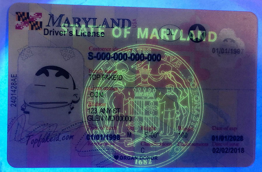 Cheap Maryland Scannable Fake Id
