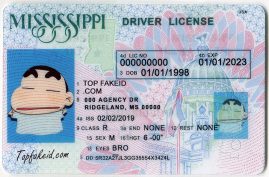 Cheap New Hampshire Fake Id