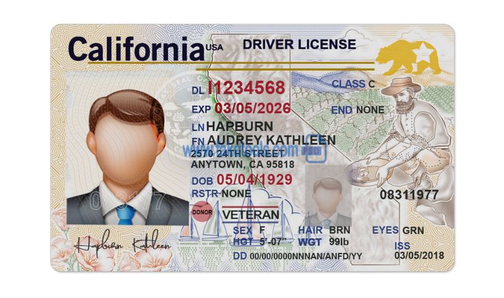 Cheap Vermont Fake Id