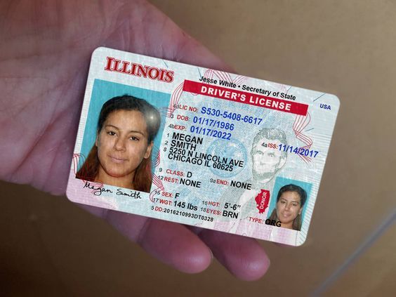 chicago fake id