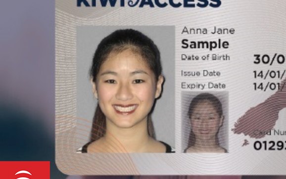 chinese fake ids