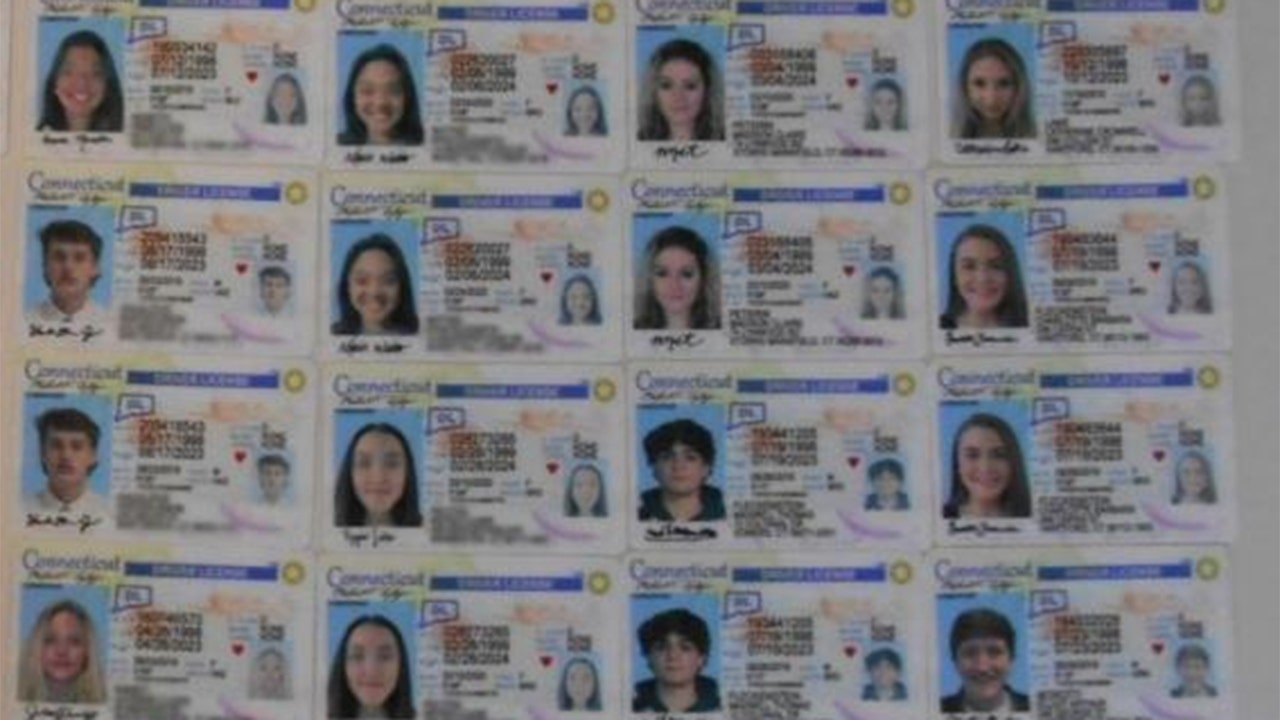 chinese fake ids