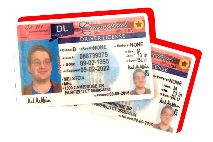 chinese fake ids