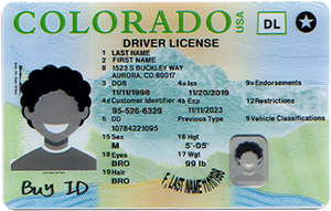 Colorado Fake Id Generator