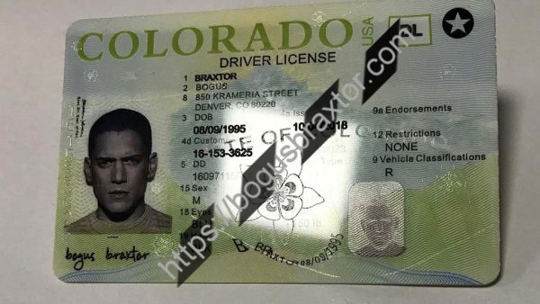 Colorado Scannable Fake Id Online