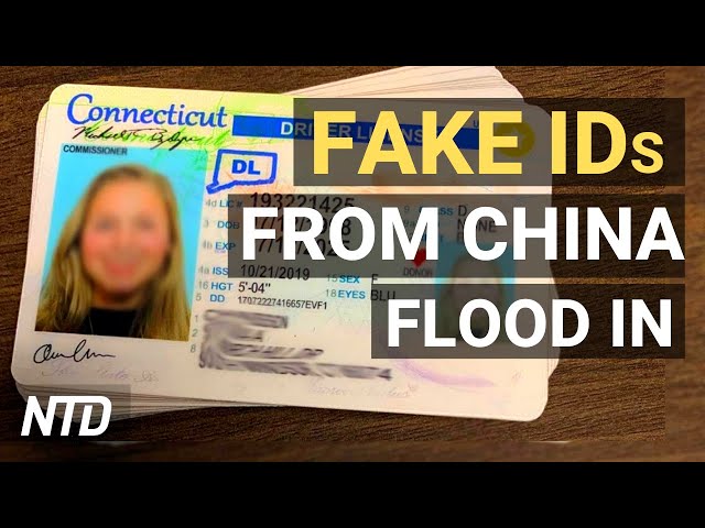 connecticut fake id